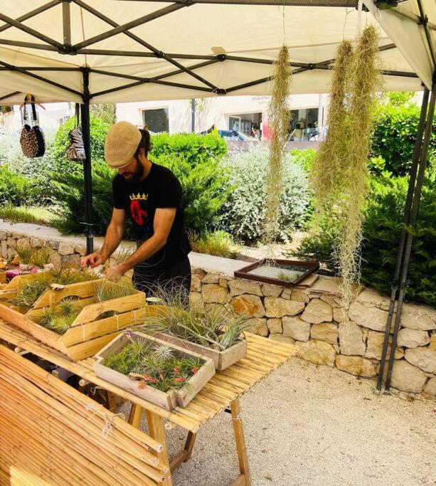 Apartamento Mediterraneo Entre Vinedos Jesus Pobre Exteriér fotografie