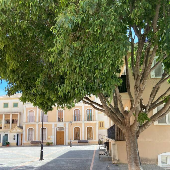 Apartamento Mediterraneo Entre Vinedos Jesus Pobre Exteriér fotografie